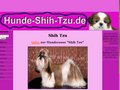 Hunde Shih Tzu