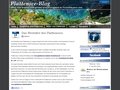 Informationen zum Plattensee / Balaton und seinem UrlaubsAngebot an Ferienhäusern