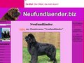 Details : Neufundländer Hunde