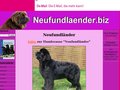 Neufundländer Hunde