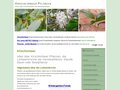 Details : Kirschlorbeer Pflanzen und andere Heckenpflanzen