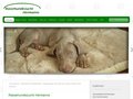 Rassehundezucht Hermanns, Weimaraner Züchter