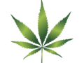 Details : CannabisLegal.xyz